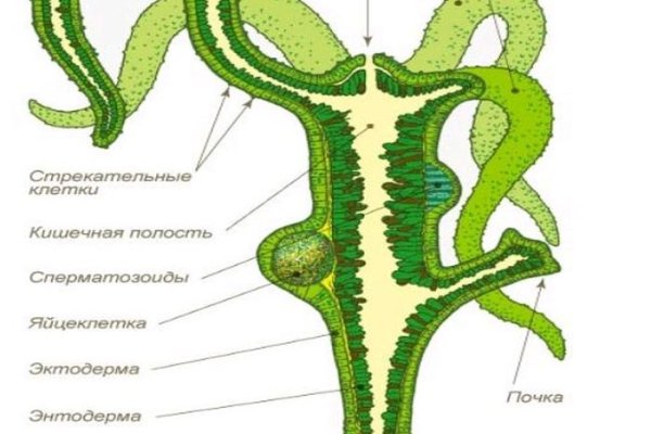 Сколько стоит мефедрон