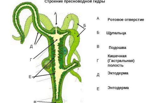 Дубли на блэкспрут что это